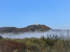 Burg Olbrück Nebel im Tal